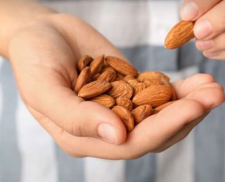 خرید و فروش عمده مغز بادام درختی مرغوب