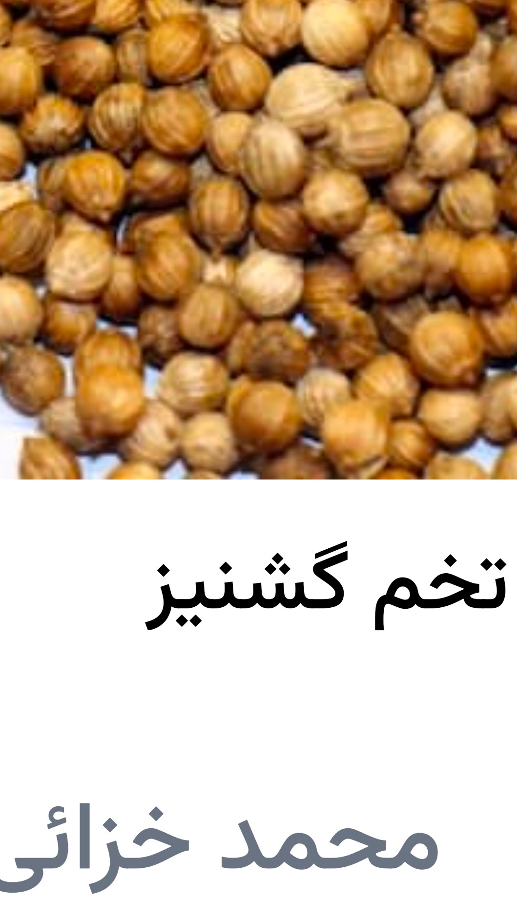 تصویر 1 از کشت ارگانیک و حرفه ای ادویه گشنیز فروش کلی