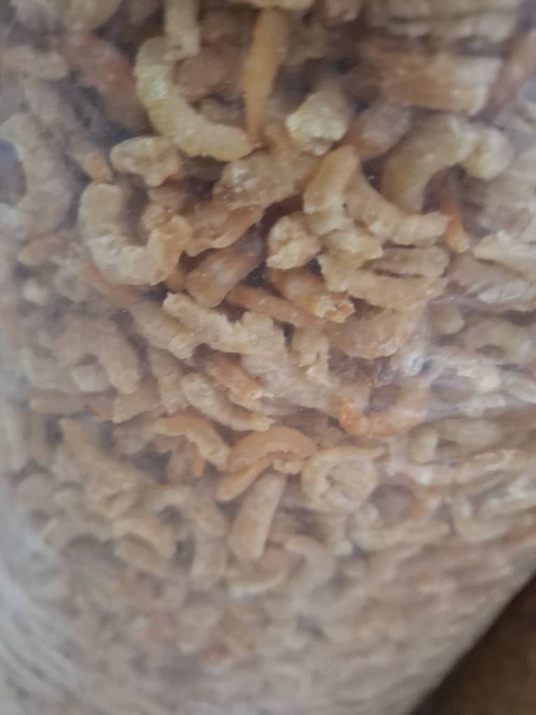 تصویر 1 از میگو تازه بسته بندی شده در سایزهای مختلف و میگو خشک