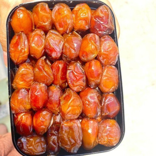 تصویر 1 از بهترین قیمت + برداشت رطب خاصویی جم