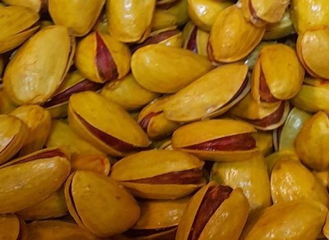 تصویر 1 از قیمت پسته احمد آقایی شور با کیفیت ارزان + خرید عمده