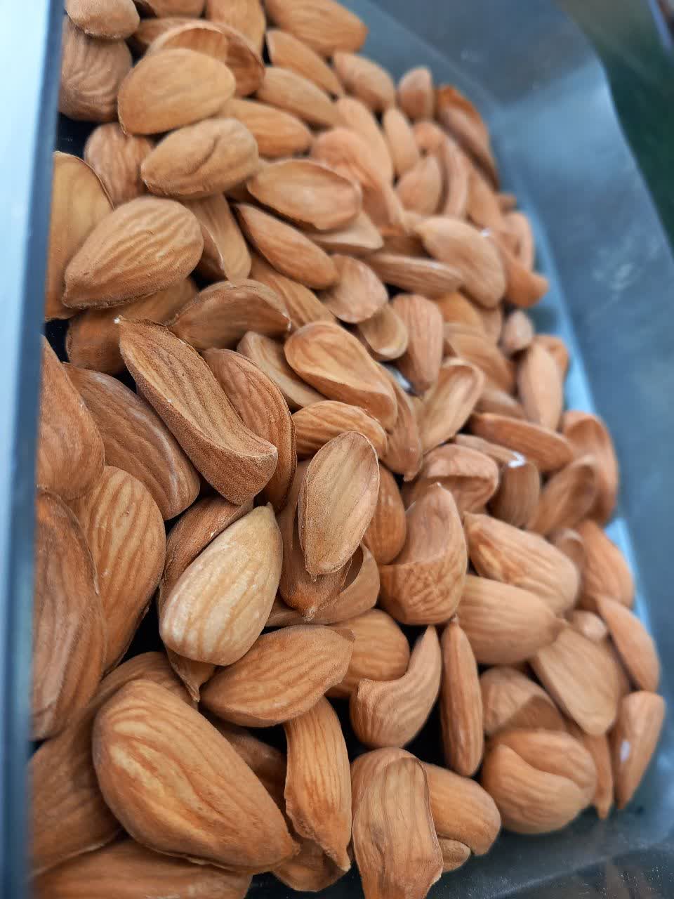 تصویر 2 از فروش مغز مامایی ۱۱۵ دانه زرین و عالی یک دست + بار لوکس