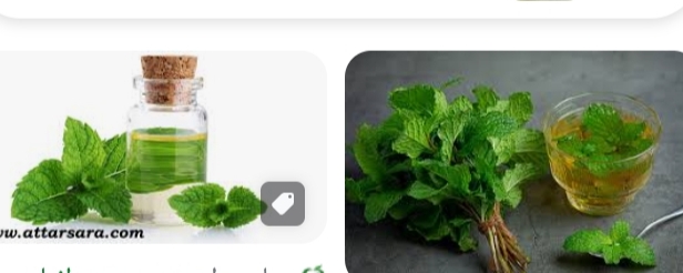 تصویر 3 از خریدوفروش عرق نعنا صادراتی شرایط خاص