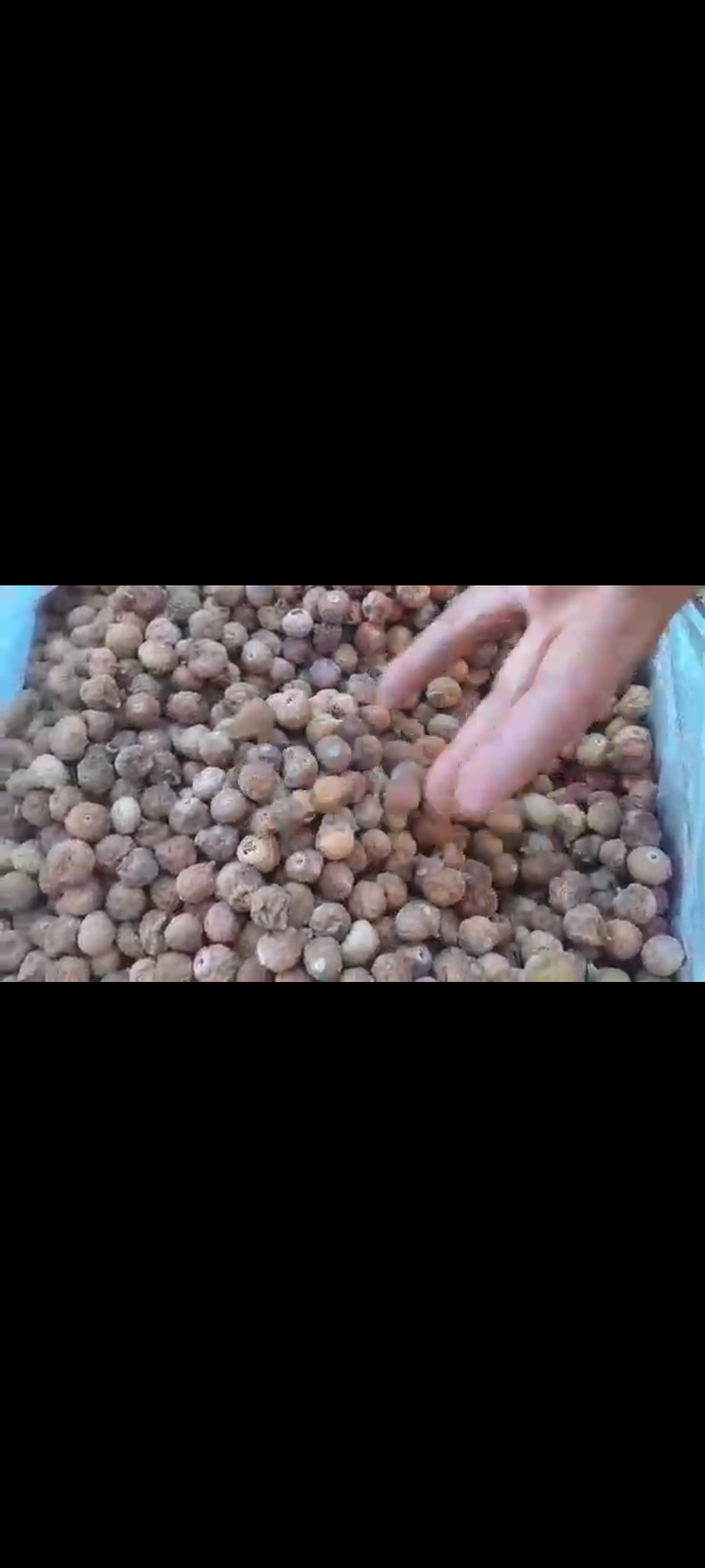 تصویر 1 از انجیر خشک آ لاکی استهبان + قیمت استثنایی