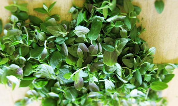 تصویر 5 از خرید آویشن صادراتی + قیمت