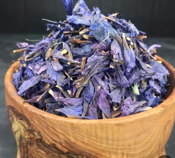 تصویر 1 از گل گاوزبان فرد اعلا