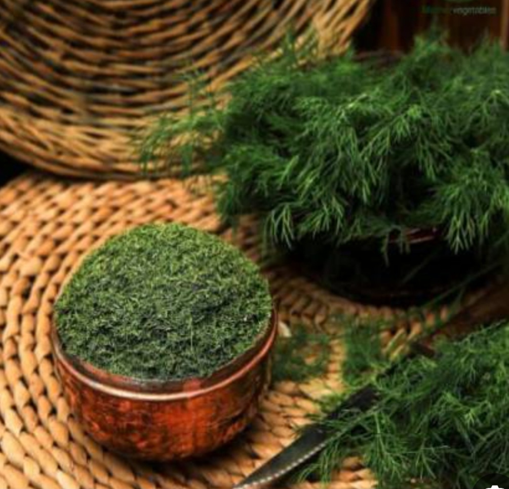 تصویر 2 از گیاه شوید خشک اعلا + فروش استثنایی