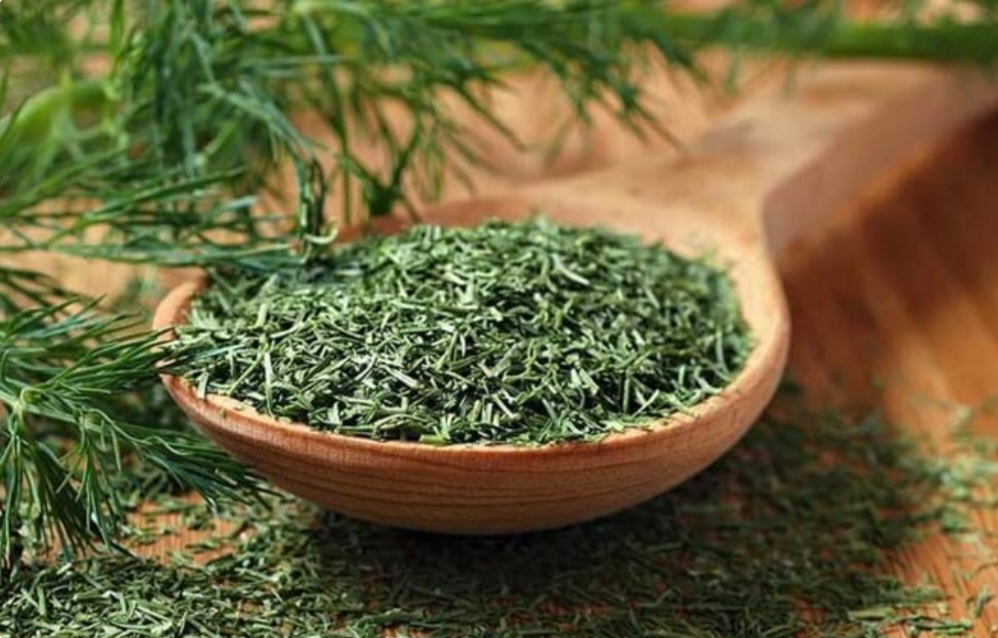 تصویر 1 از گیاه شوید خشک اعلا + فروش استثنایی
