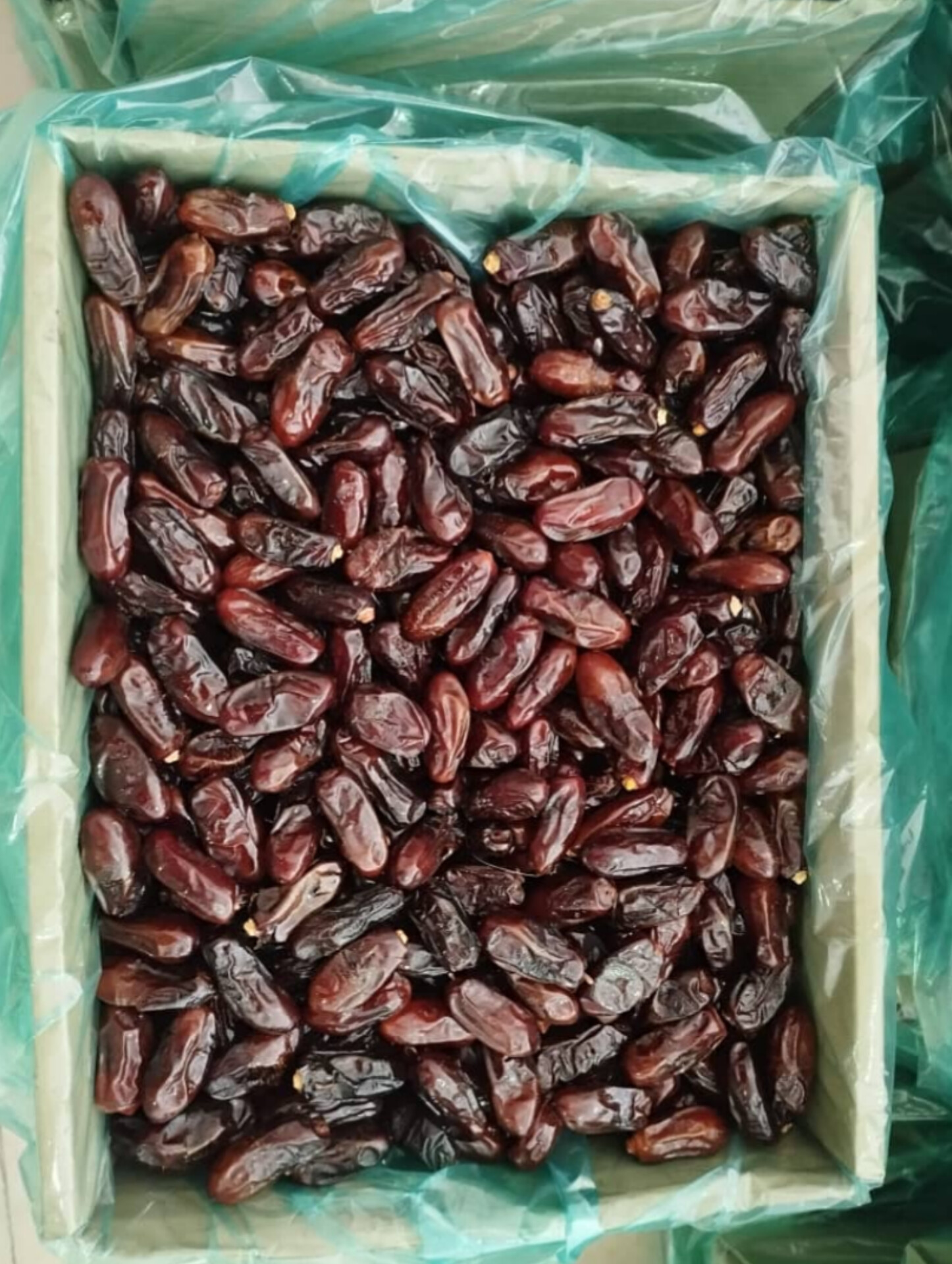 تصویر 2 از خرمای استعمران صادراتی خوزستان با استانداردهای بین‌ المللی بسته‌ بندی