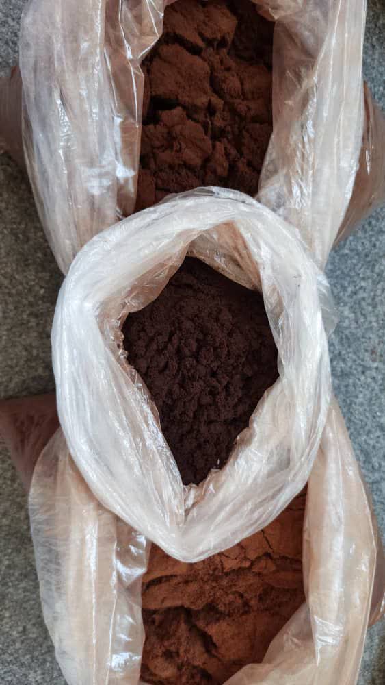 تأمین قهوه هسته خرما برای فروشگاه‌ ها و پخش‌ کنندگان استانی؛ تولید روز، قیمت عالی