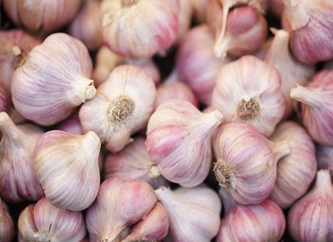 تصویر 2 از قیمت اسلایس موسیر کوهی