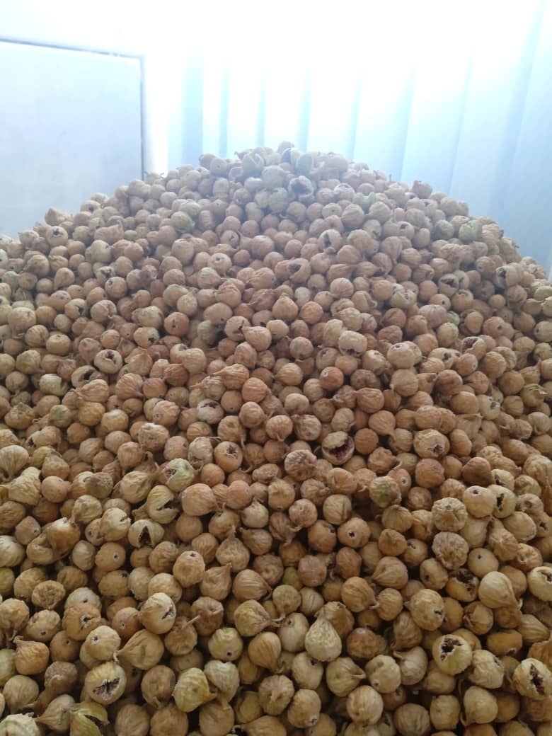 تصویر 1 از خرید انجیر خشک ارزان + قیمت فروش عمده