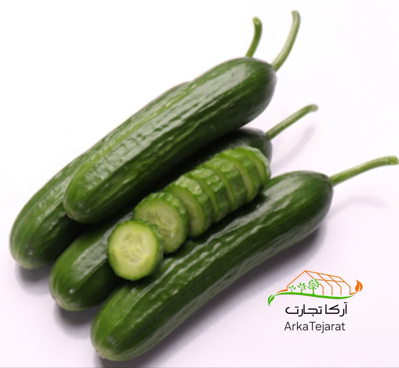تصویر 3 از خرید و قیمت بذر خیار نگین + فروش ارزان و بی واسطه