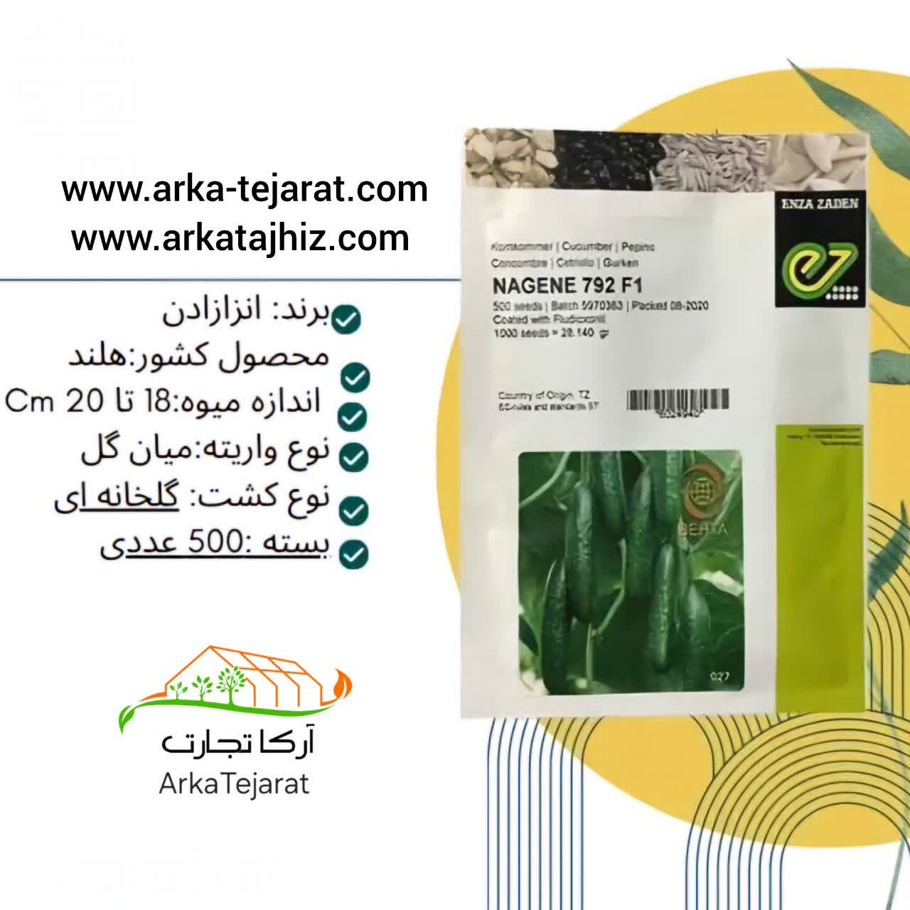 فروش بذر خیار گلخانه‌ای ناگین | خرید مطمئن و ارزان
