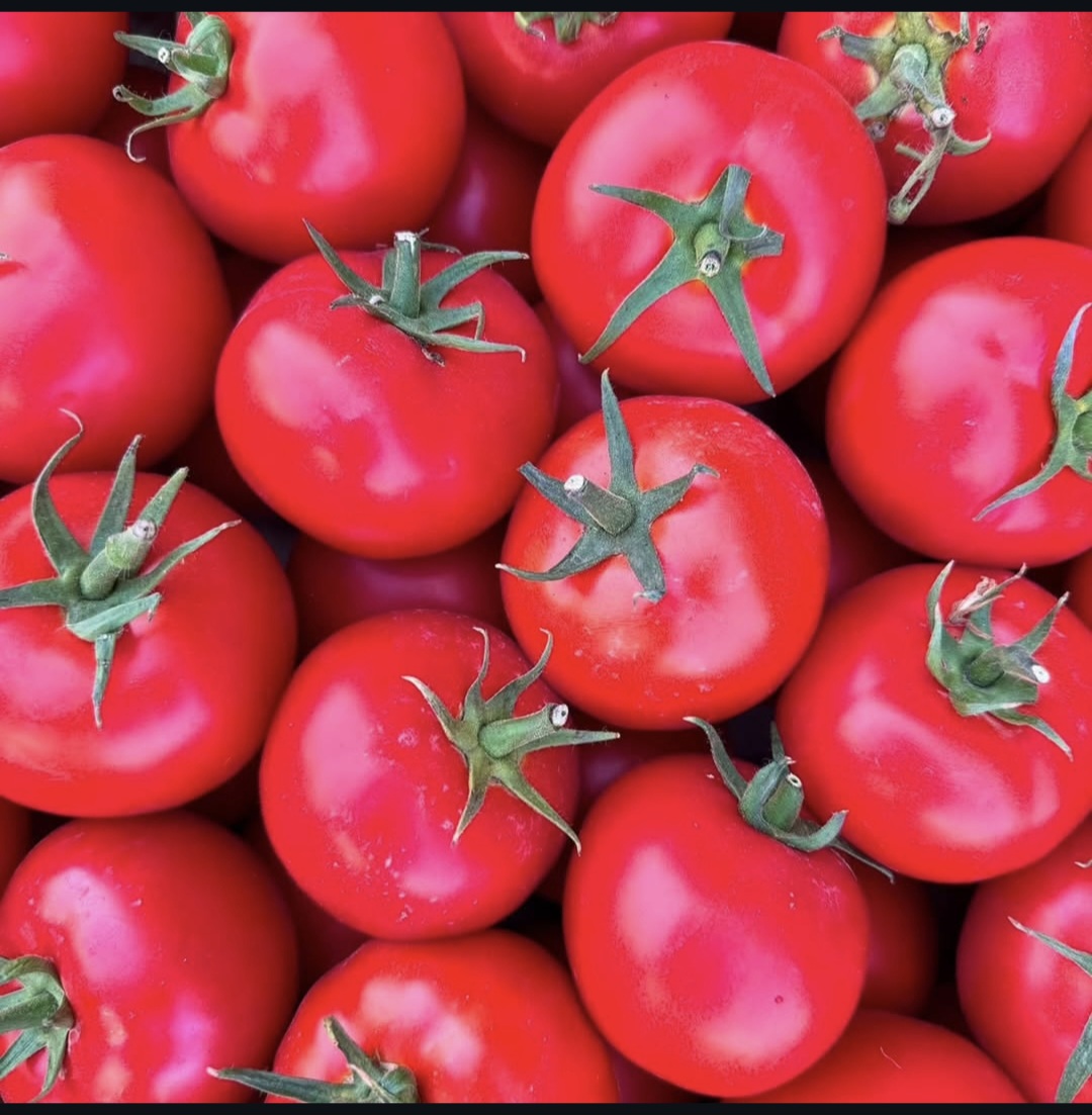 قیمت گوجه گلخانه ای  ۸۳۲۰  به صرفه