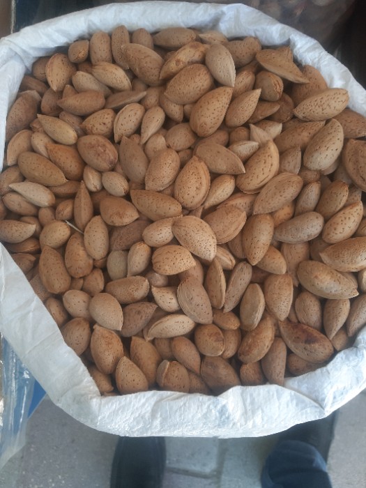 تصویر 1 از قیمت بادام سنگی بازار داخلی + فروش فوق العاده