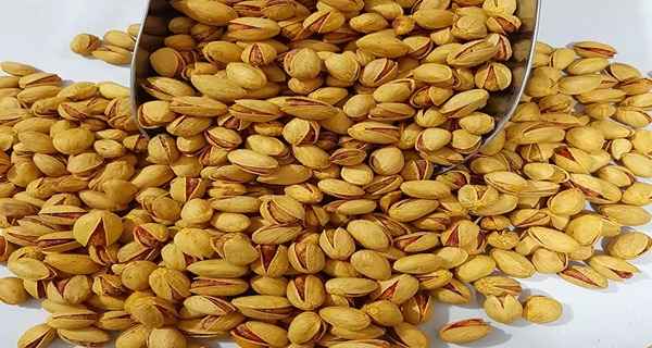 فروش و صادرات پسته فندقی + اقتصادی