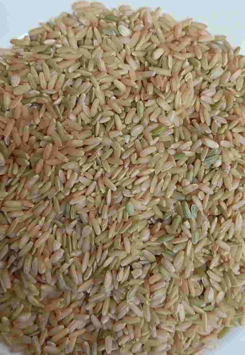 برنج سبوس دار کامل کامفیروز + تمیز شده