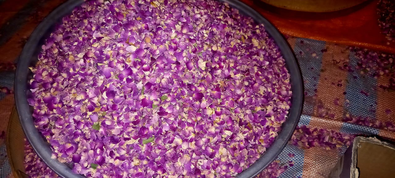 قیمت پر گل محمدی در آراد برندینگ