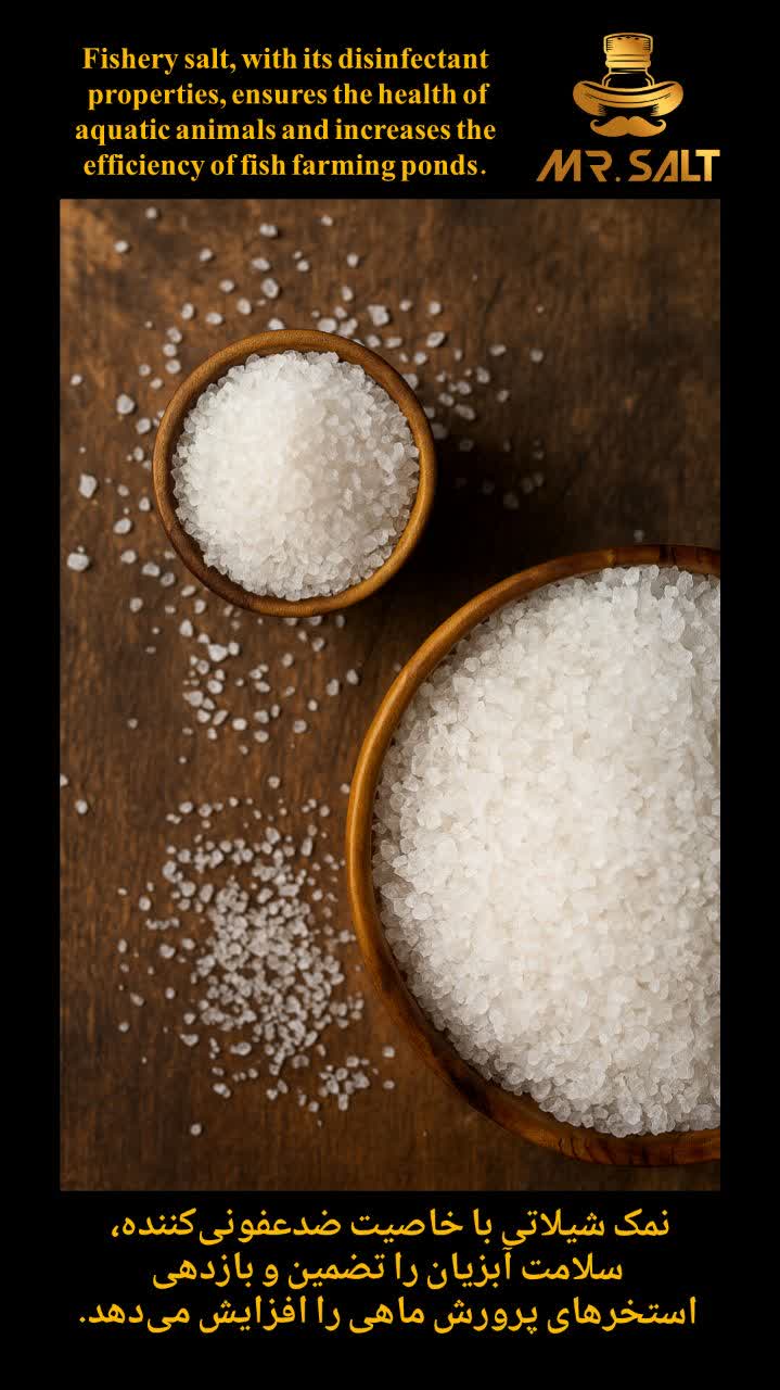 قیمت خرید نمک شیلاتی