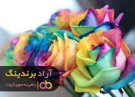 تصویر 2 از قیمت باورنکردنی گل سرشاخه رز