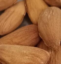 تصویر 1 از بادام‌ مرغوب و خوش طعم شهرکرد