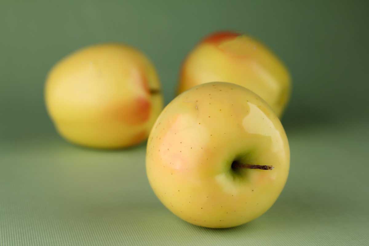 تصویر 1 از خرید سیب زرد از باغ نقده با شرایط مناسب + فروش عمده