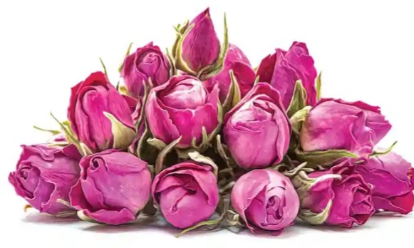 قیمت عمده غنچه گل محمدی + خریدبه صرفه + خواص گل محمدی برای کبدچرب