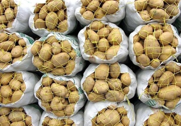 تصویر 1 از قیمت روز سیب‌ زمینی صادراتی ایران