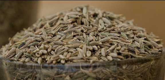 تصویر 3 از زیره سبز دارویی صادراتی معطر