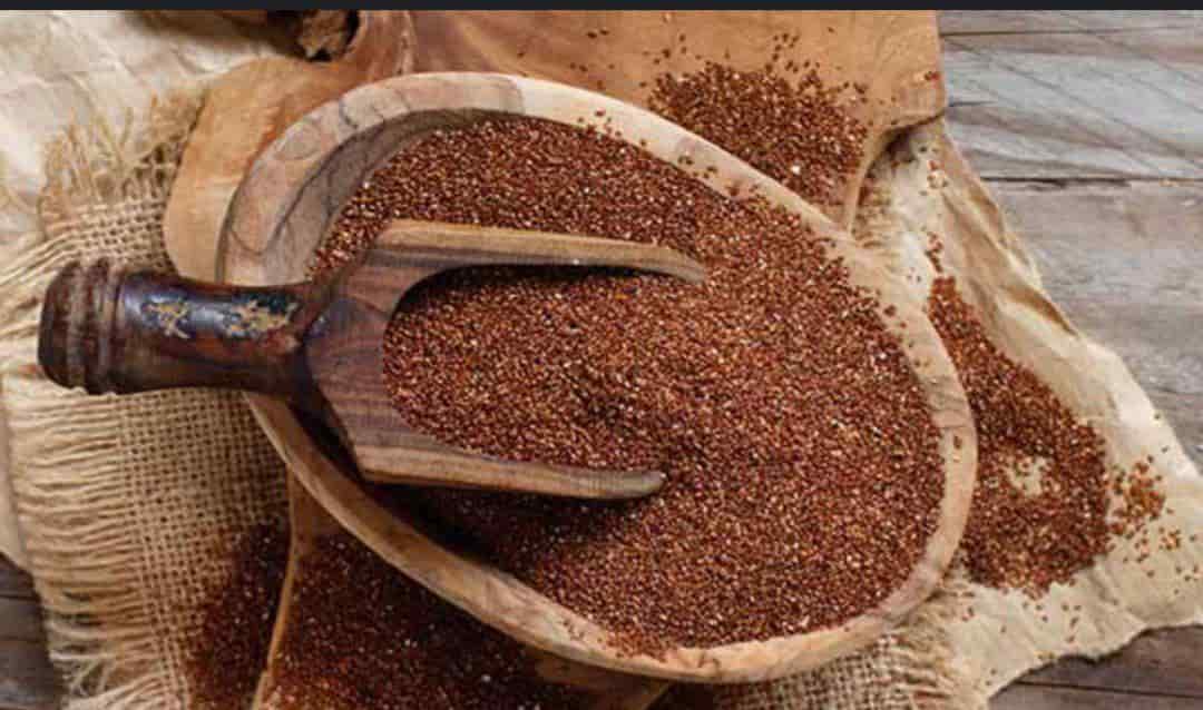 تصویر 1 از خاکشیر کولس امسالی