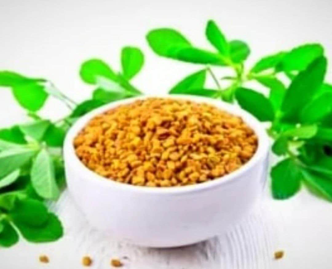 تصویر 2 از قیمت تخم آفتاب گردان + بهترین کیفیت