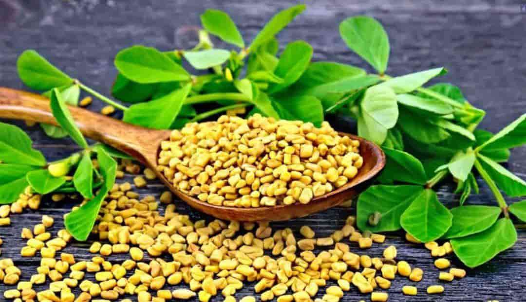 تصویر 1 از تخم شنبلیله فرد اعلا