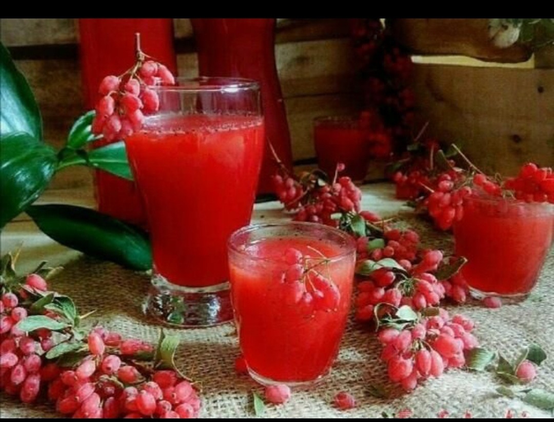 قیمت شربت زرشک بیرجند + فروش عمده