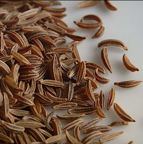 تصویر 2 از زیره کوهی عطاری قیمت مناسب