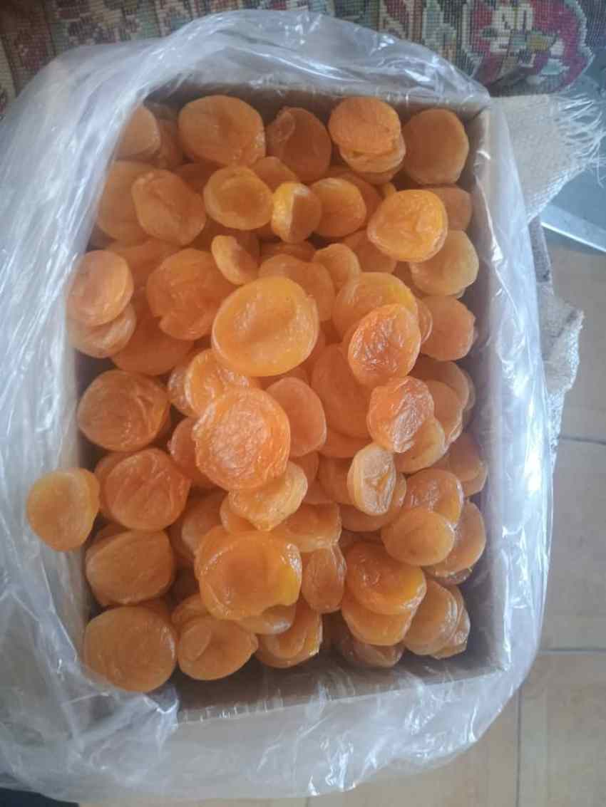 تصویر 2 از قیمت قیسی زردآلو