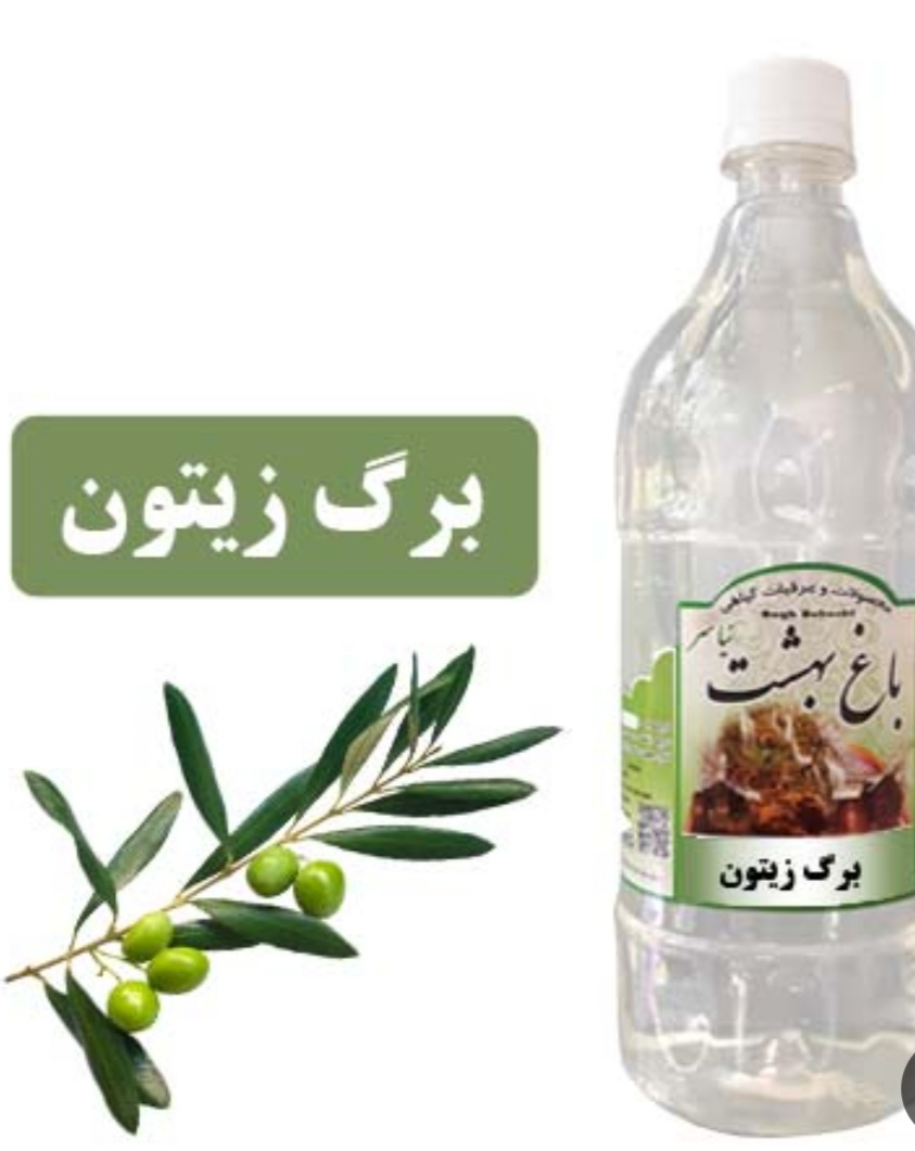 تصویر 3 از خرید و فروش عمده عرق برگ زیتون با شرایط فوق العاده