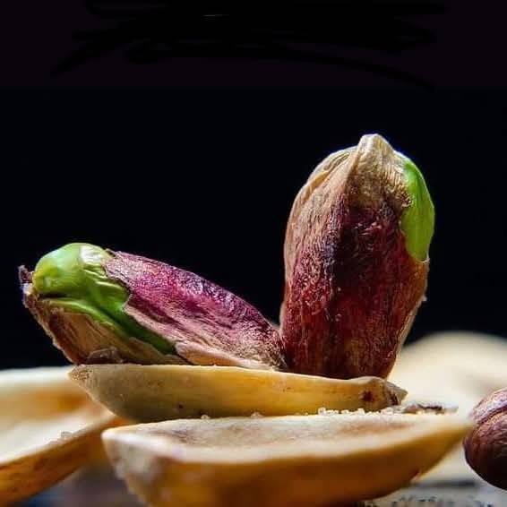 تصویر 3 از پسته اکبری تواضع مناسب پذیرایی مهمان
