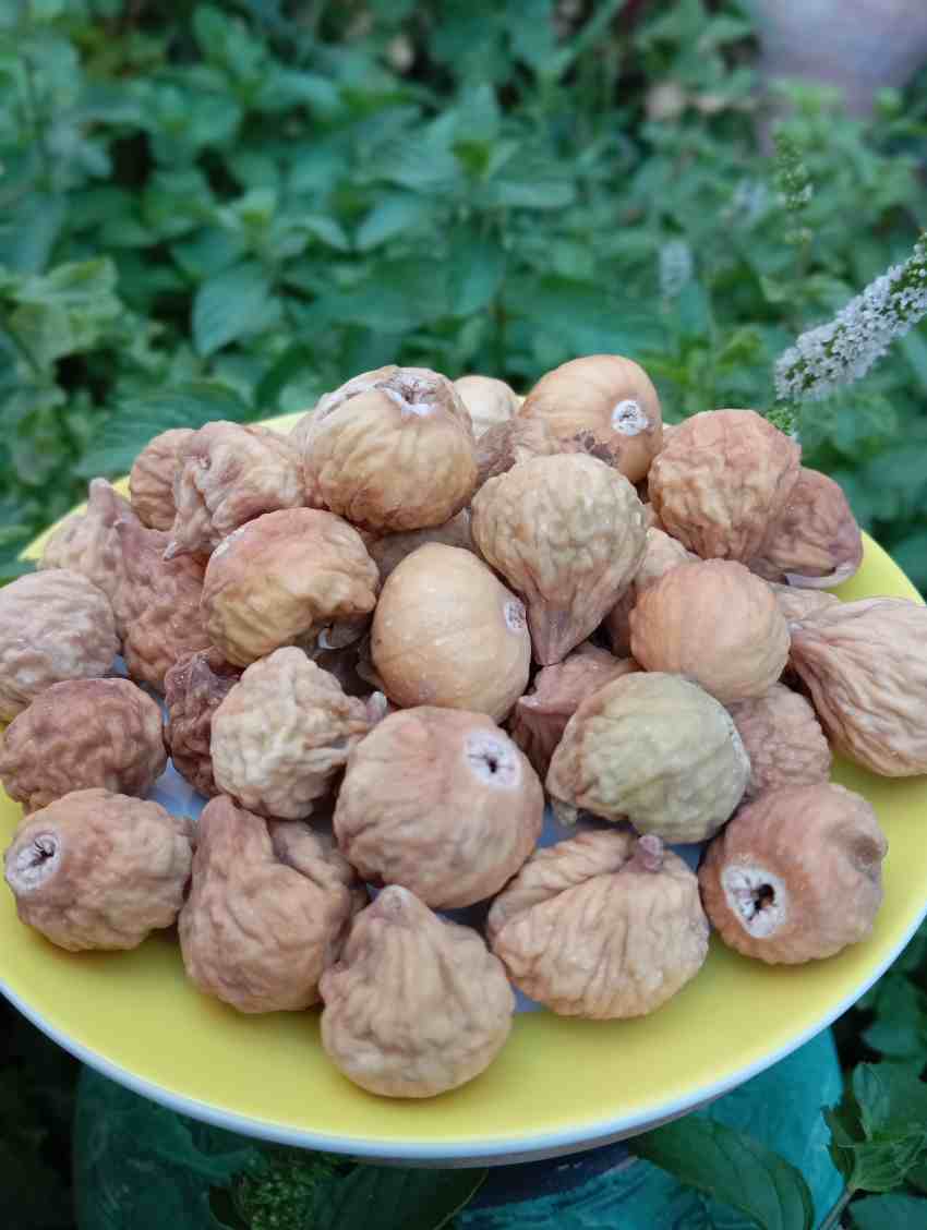 تصویر 4 از انجیر سایز A ارگانیک + قیمت ویژه
