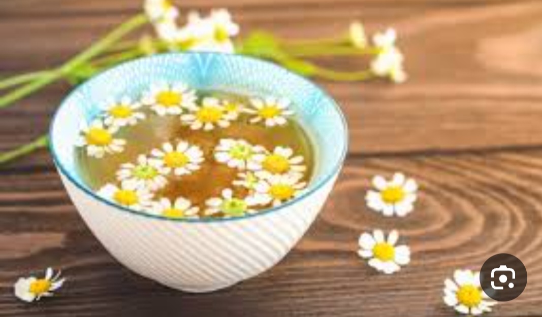 تصویر 2 از گیاهان دارویی زاگرس