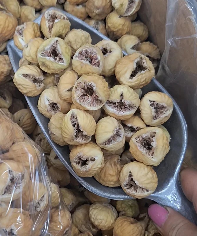 انجیر پرسی صد و یک