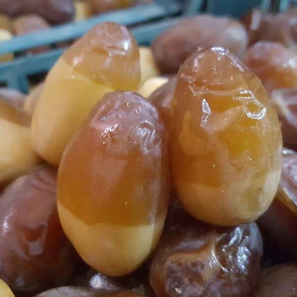 تصویر 5 از قیمت خرید رطب کبکاب عسلی از دل نخلستان های گرم بوشهر تا سفره شما