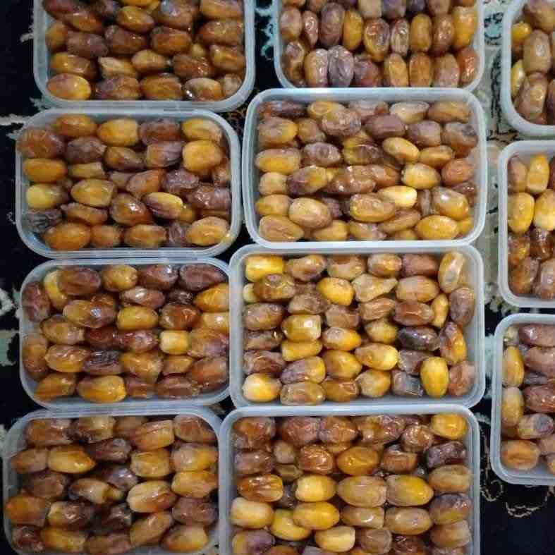 تصویر 3 از قیمت خرید رطب کبکاب عسلی از دل نخلستان های گرم بوشهر تا سفره شما