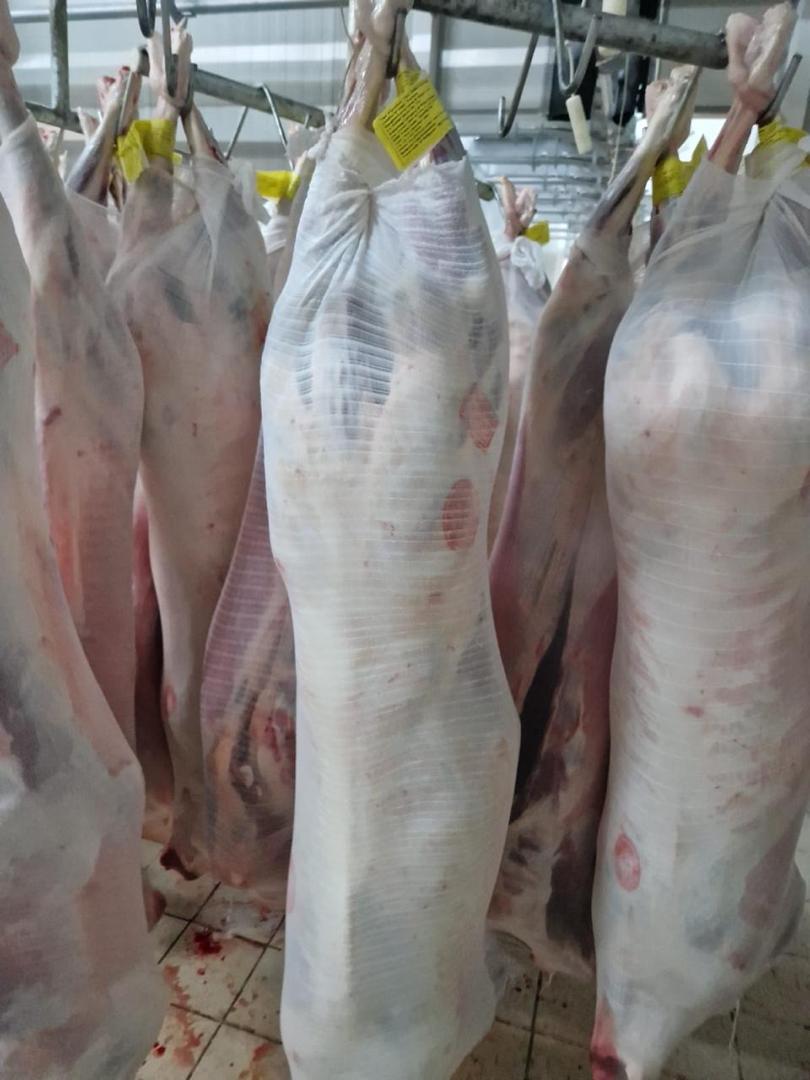 تصویر 1 از خرید گوشت گوسفندی استرالیایی