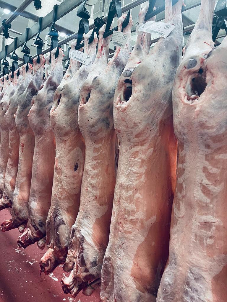 تصویر 1 از گوشت گوسفندی مهیا پروتئین با طبخ سریع
