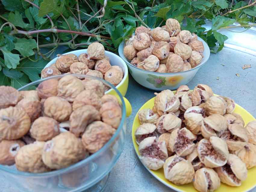 تصویر 2 از قیمت انجیر خشک شیراز با کیفیت و ارزان + خرید عمده