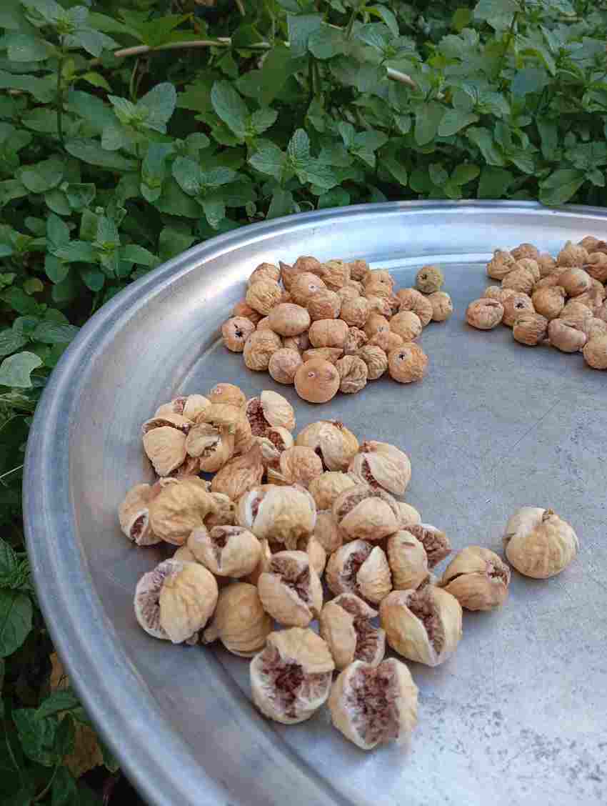 تصویر 1 از قیمت انجیر خشک شیراز با کیفیت و ارزان + خرید عمده