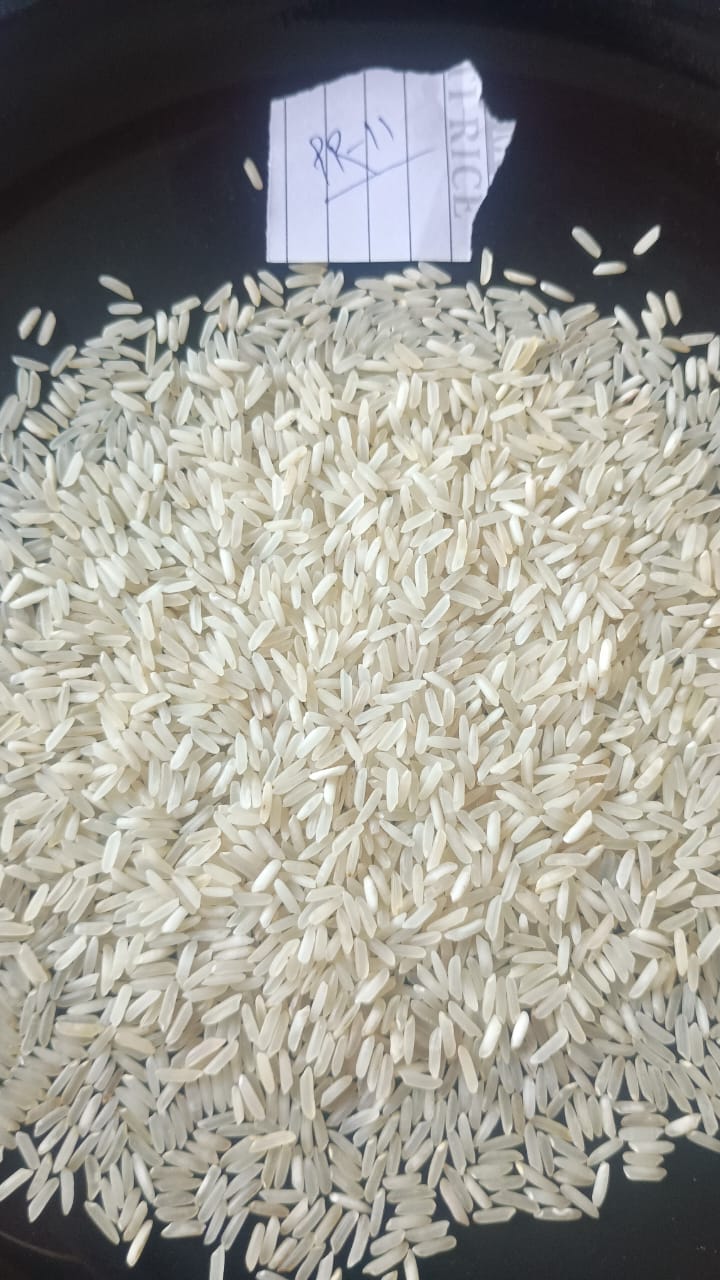 تصویر 2 از قیمت خرید برنج ندا شمال