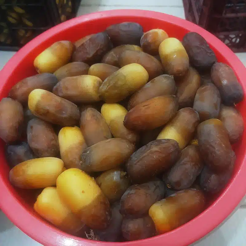 تصویر 4 از خرید اقتصادی رطب کبکاب بوشهر با کیفیت ممتاز
