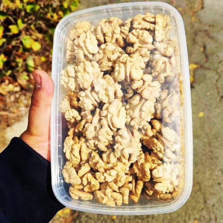تصویر 1 از خرید و فروش گردوی درختی با شرایط به روز